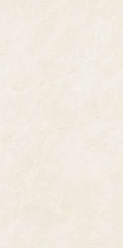 LTB612042白玉兰-2