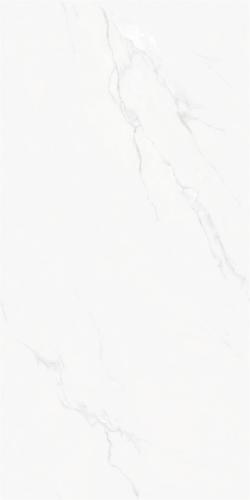 LTB612043雅云白-2