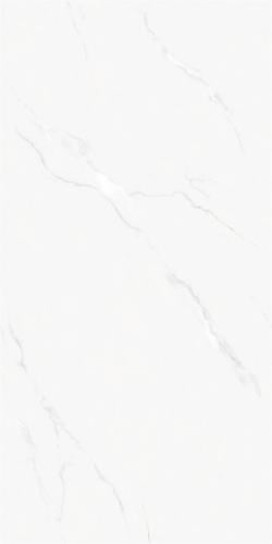 LTB612043雅云白-3