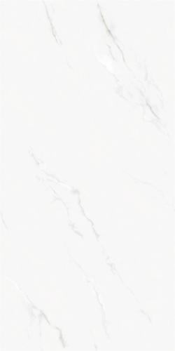 LTB612043雅云白-4